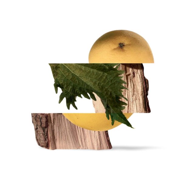 Terre d'Hermes Parfum - Image 3